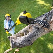 Addison, IL Tree Services Pros